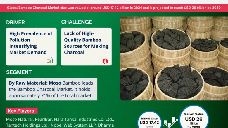 Global Bamboo Charcoal Market to Reach USD 26 Billion by 2030 | Driven by Eco-Friendly Applications in Air Purification, Skincare, and Agriculture