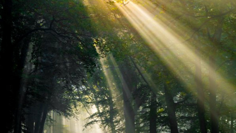 The Anxiety Loop: Breaking Free from Fear-Based Thinking