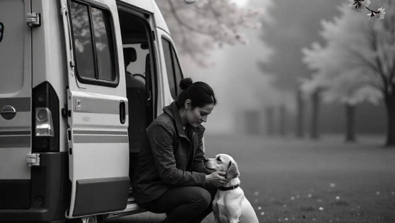 Pet Surgery Vancouver: Affordable Care