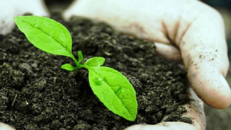Report on Biofertilizer Manufacturing Plant Detailing Business Plan, Cost Analysis and Material Requirements