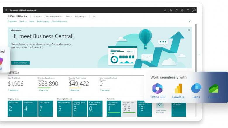 Power BI + Business Central: A Game-Changer for Real-Time Reporting in 2025