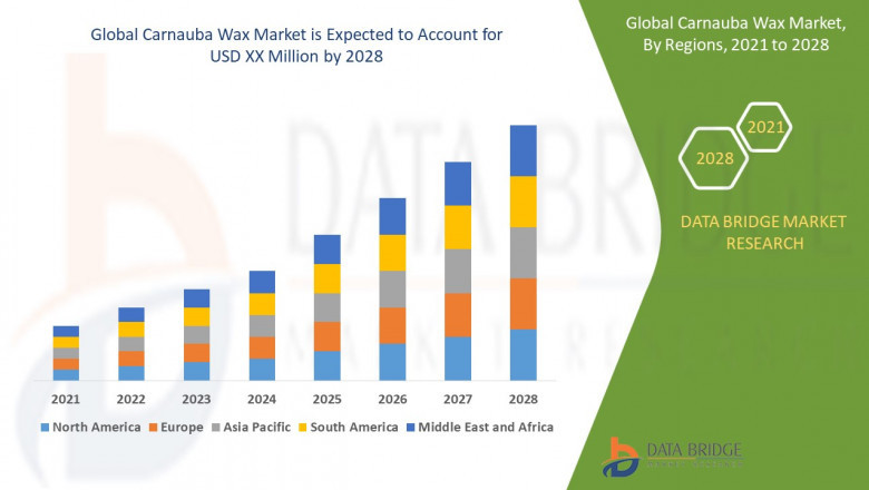 Carnauba Wax Market Business Outlook: Growth and Opportunities to 2025 - 2028