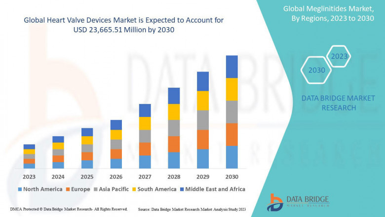 Heart Valve Devices Market Business Outlook: Landscape and Forecast Forecast 2025 - 2030