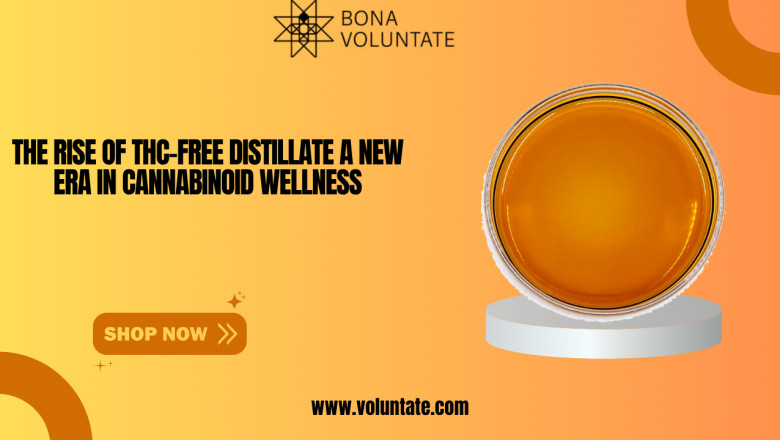 THC-Free Distillate: Pure CBD Wellness Solutions