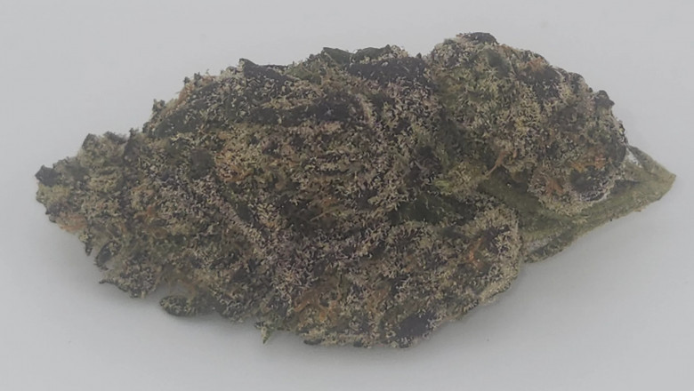Everything You Should Know Before Making Your First Online Weed Purchase