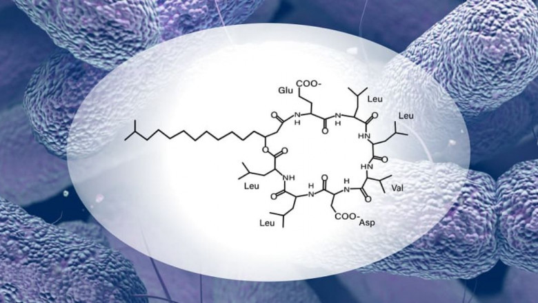 Biosurfactant: Nature's Versatile Surface-Active Agents
