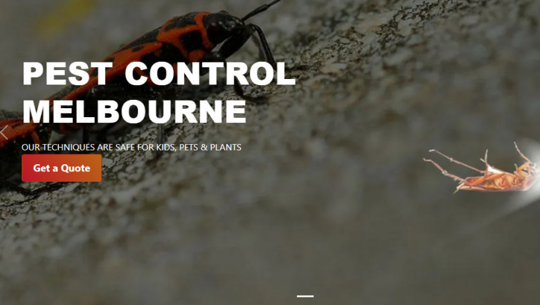 Is Your Home at Risk? Signs You Need Professional Pest Control in Melbourne