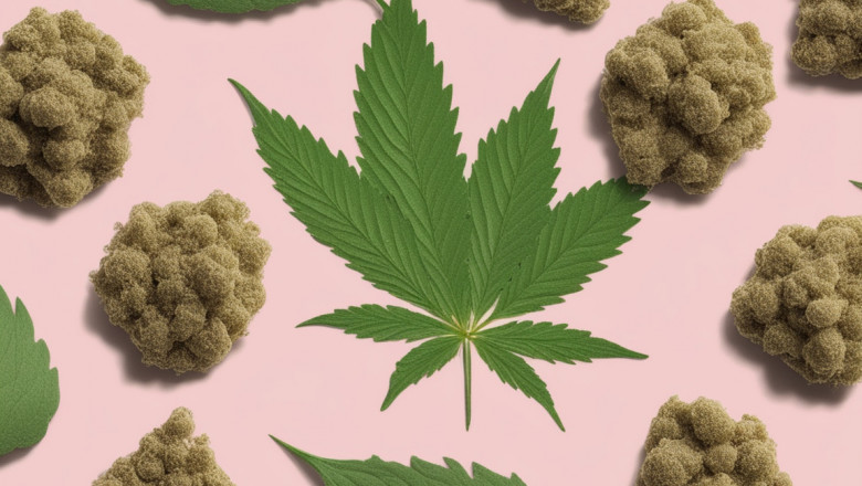 Sativa vs. Indica vs. CBD Cara‑Melts & Singles: Choosing the Right Twisted Product Online