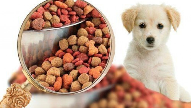 Pet Food Manufacturing Plant Project Report 2025: Cost Analysis and Investment Opportunities