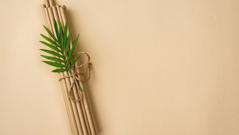 Setup a Dry Coconut Leaves Based Biodegradable Straw Manufacturing Plant- Detailed Project Report on Requirements and Key Aspects