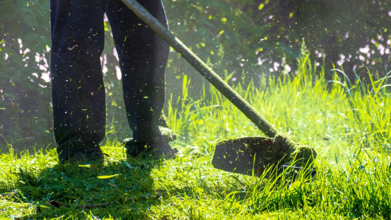 Lawn Care Atlanta | Expert Lawn Services in Atlanta GA