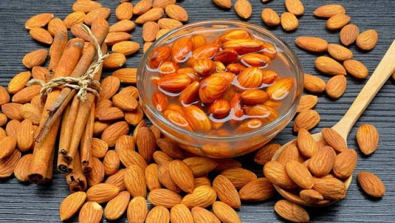 Business Plan to Setup a Almond Processing Plant: Project Report 2025