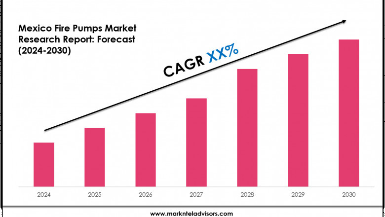 Mexico Fire Pumps Industry Analysis 2024–2030: Market Insights & Forecast