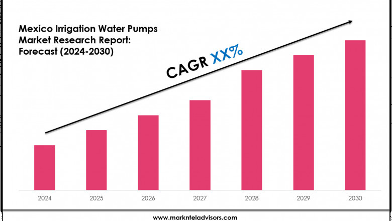Mexico Irrigation Water Pumps Industry Analysis 2024–2030: Market Insights & Forecast
