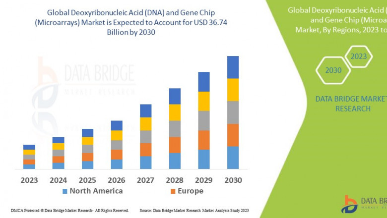 Precision Medicine Revolution Sparks Growth in DNA and Gene Chip Market