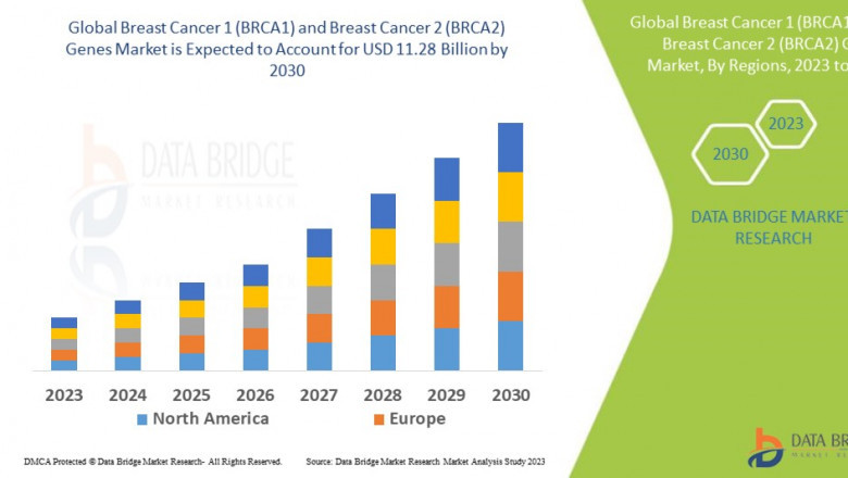 Rising Awareness Spurs Growth in BRCA1 and BRCA2 Genetic Testing Market