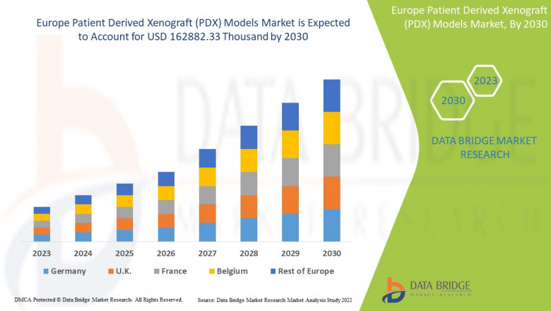 Rising Demand for Personalized Medicine Drives Growth in Europe Patient Derived Xenograft (PDX) Models Market