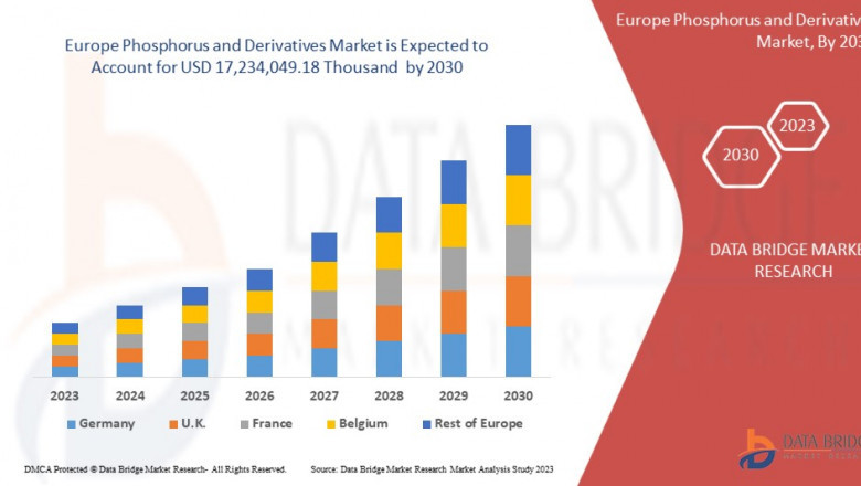 Europe Phosphorus and Derivatives Market: Insights and Competitive Analysis