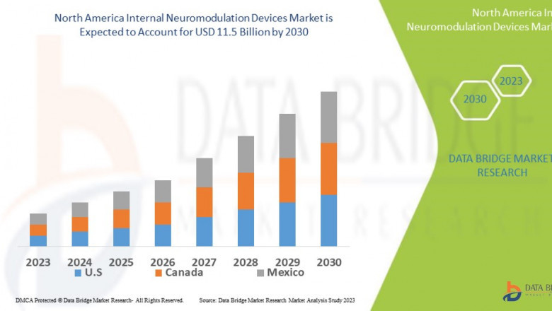 North America Internal Neuromodulation Devices Market: Size, Share, and Growth Forecast to 2030