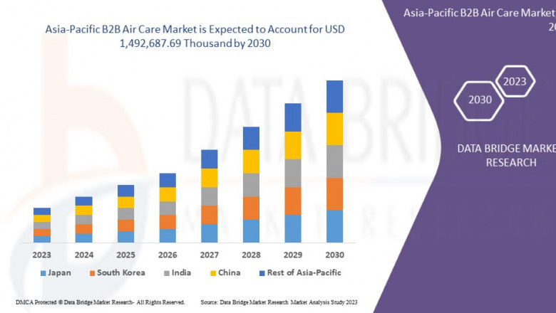 Asia-Pacific B2B Air Care Market Scope: Growth, Share, Value, Size, and Analysis