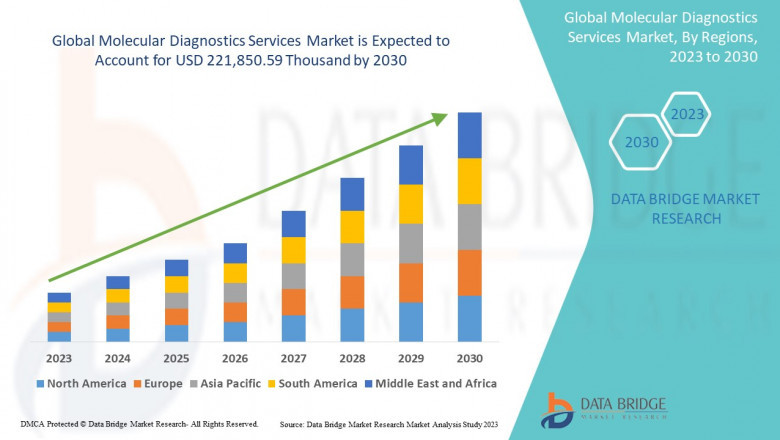 Molecular Diagnostics Services Market Insights and Growth Trends 2023 –2030