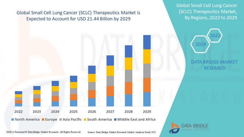 Small Cell Lung Cancer (SCLC) Therapeutics Market: Insights, Key Players, and Growth Analysis 2025 –2032
