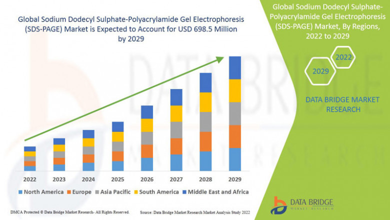 Sodium Dodecyl Sulphate-Polyacrylamide Gel Electrophoresis (SDS-PAGE) Market Overview: Key Drivers and Challenges 2025 –2032
