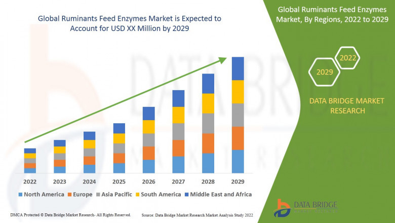 Ruminants Feed Enzymes Market: Trends, Analysis, and Competitive Landscape