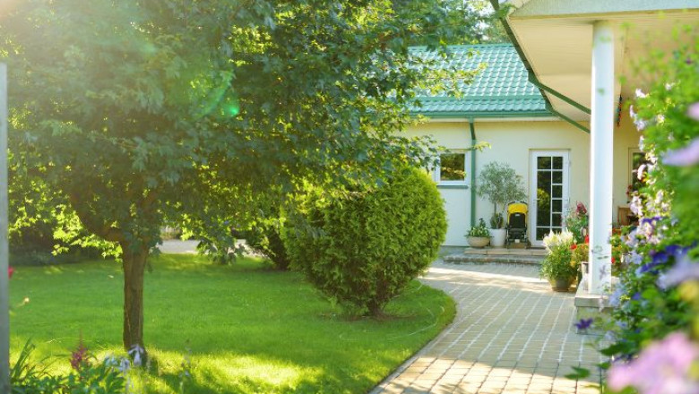 3 Best Low-Maintenance Plants for Your St. Louis Landscape