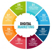 Professionalseoagency
