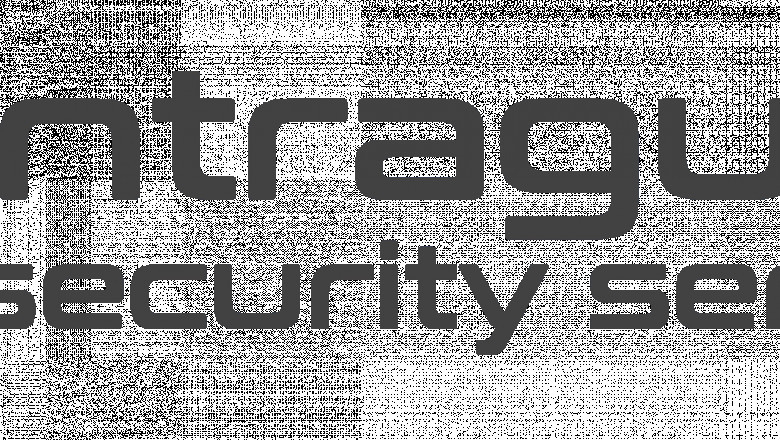 How Security Guard Services Help Maintain Order in Large Events