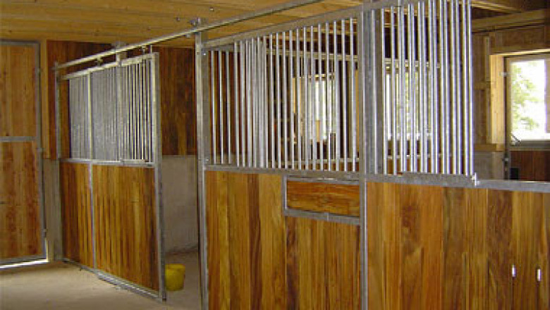 Why Quality Equestrian Equipment is Crucial for Horse Care and Management?