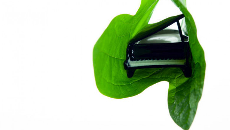 Trusting Professional Piano Moving Services Is Music to Your Ears