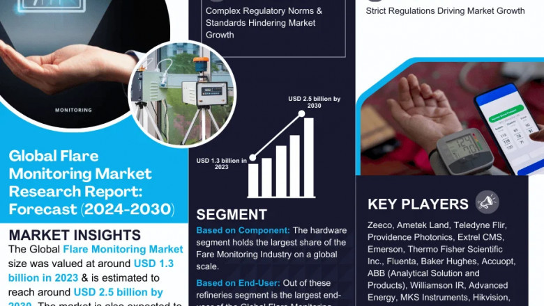 Flare Monitoring Market Insights: Demand, Share, and Key Players 2030