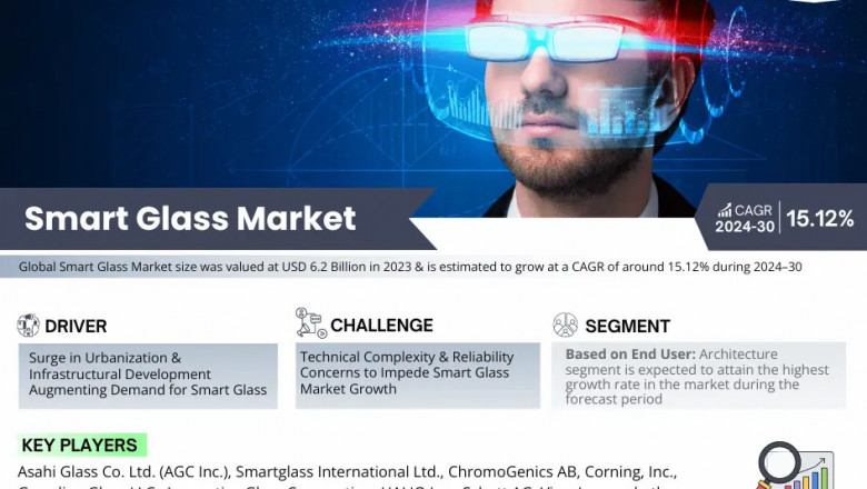 Smart Glass Market Competitive Landscape and Future Outlook 2030