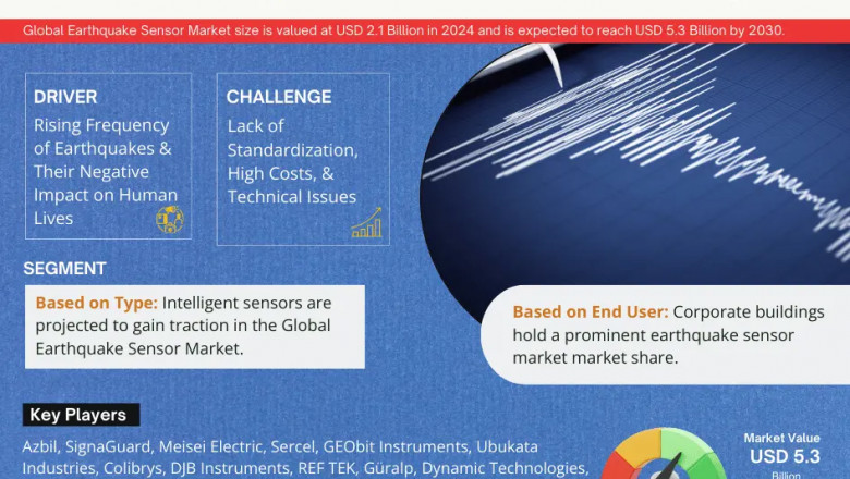 Earthquake Sensor Market Competitive Landscape and Future Outlook 2030