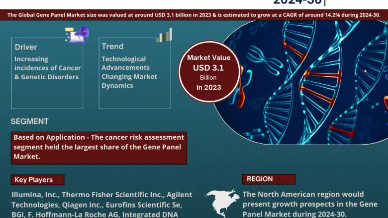 Gene Panel Market Competitive Landscape and Future Outlook 2030