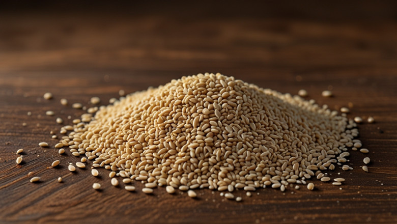 Sesame Seeds Price Index, Trend, Chart, Demand, News and Forecast Data
