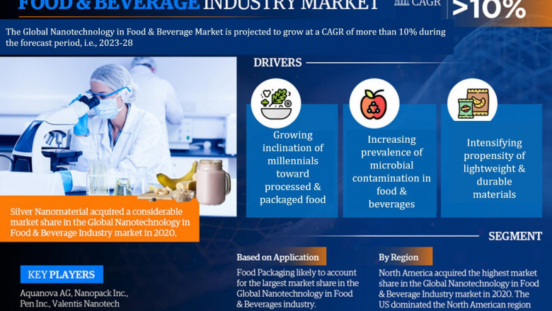 Nanotechnology in Food & Beverage Market Competitive Landscape and Future Outlook 2028