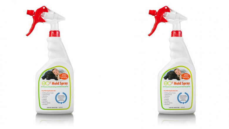 Removing Mold on Plastic Surfaces