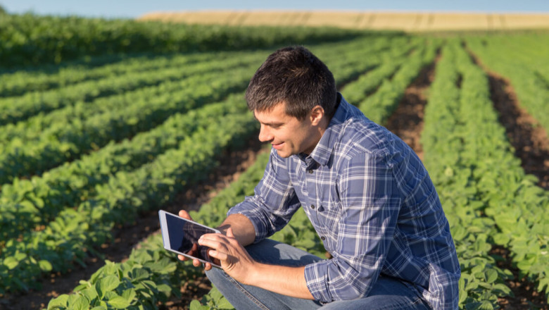 How Sustainable Agriculture Methods Improve Soil and Yields