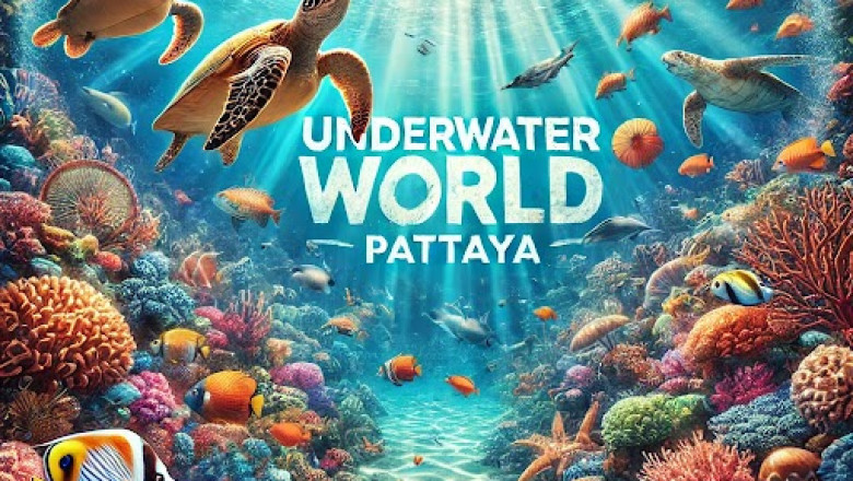 Underwater World Pattaya Explore Thailand’s Marine Life