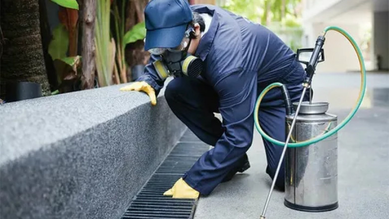 National Pest Control and Commercial Pest Control: Trusted Solutions for Homes and Businesses
