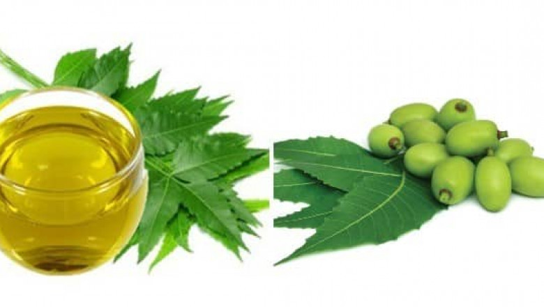 Equipments and Machinery Requirements Report For Neem Oil Processing and Plant Setup