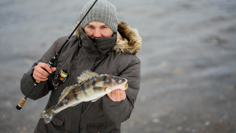 Steelhead Secrets: What Makes Lake Erie a Top Spot for Fishing?