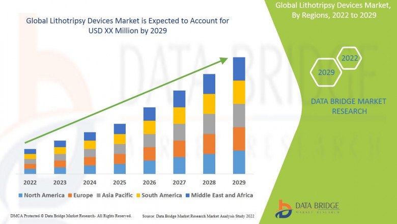 Lithotripsy Devices Business Outlook: Landscape and Dynamics Forecast 2025 - 2029