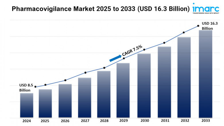 Pharmacovigilance Market Size, Share, and Growth Forecast 2025-2033