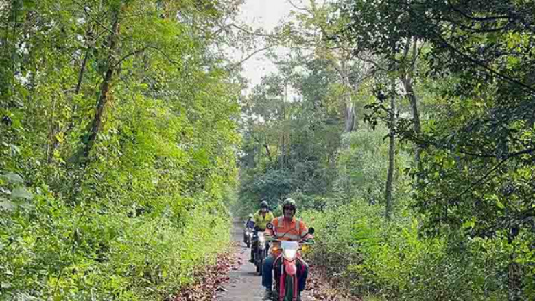 Explore Adventure and Culture with Motorbike Tours in Vietnam