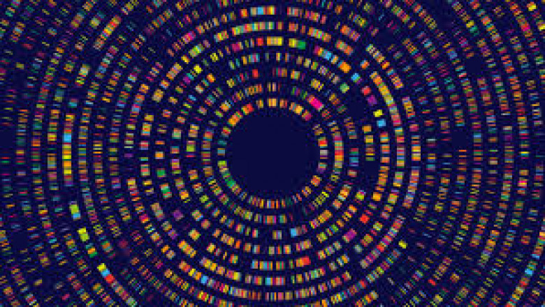 USA Genome Sequencing Market Intelligence: Trends, Players, and Forecasts 2025