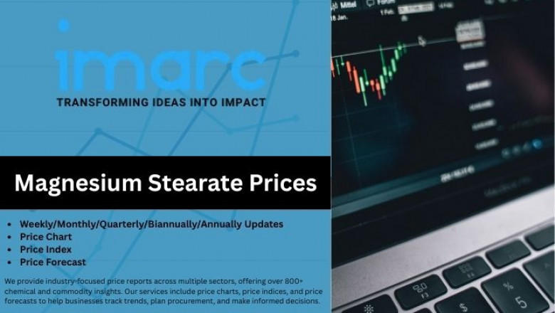 Magnesium Stearate Prices 2025: Price Trend, Index, Chart & Forecast Analysis